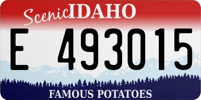 ID license plate E493015