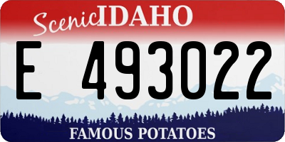 ID license plate E493022