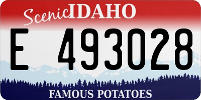ID license plate E493028