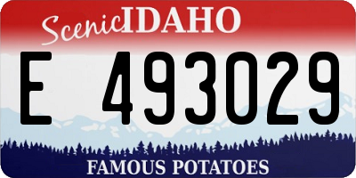 ID license plate E493029