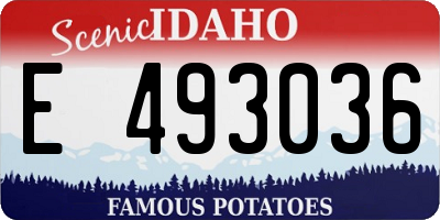 ID license plate E493036