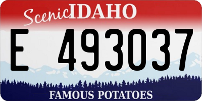ID license plate E493037