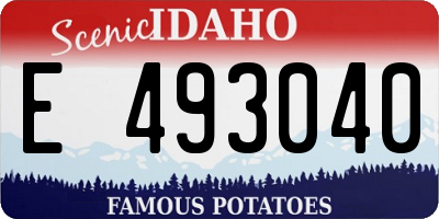 ID license plate E493040