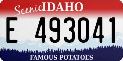 ID license plate E493041