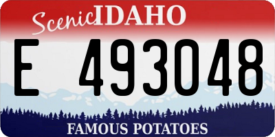 ID license plate E493048