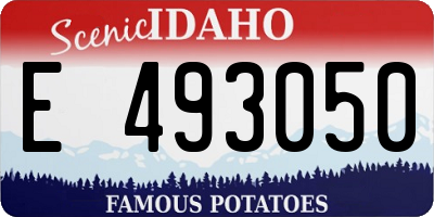 ID license plate E493050