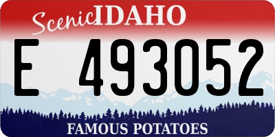 ID license plate E493052