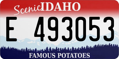 ID license plate E493053