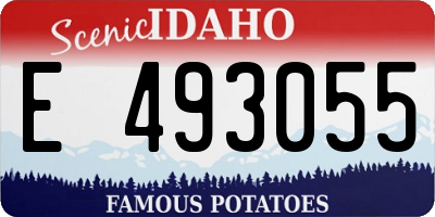 ID license plate E493055