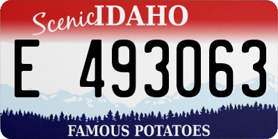 ID license plate E493063