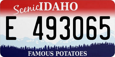 ID license plate E493065