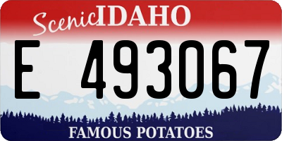 ID license plate E493067
