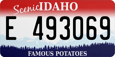 ID license plate E493069