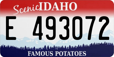 ID license plate E493072
