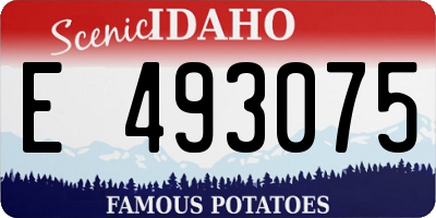 ID license plate E493075