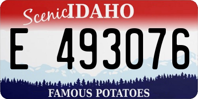 ID license plate E493076