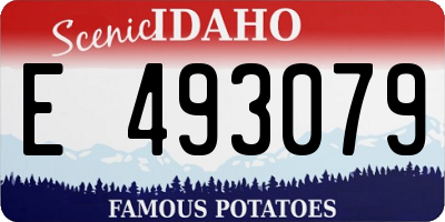 ID license plate E493079