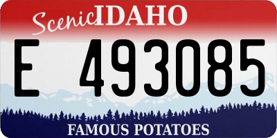 ID license plate E493085