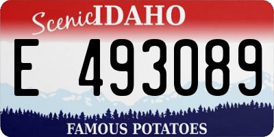 ID license plate E493089