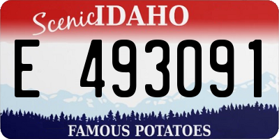 ID license plate E493091