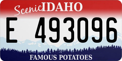 ID license plate E493096