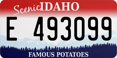 ID license plate E493099