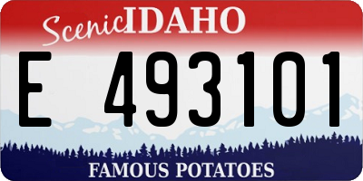 ID license plate E493101