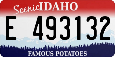 ID license plate E493132