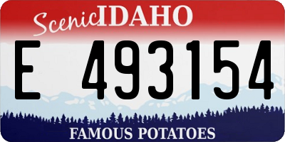 ID license plate E493154