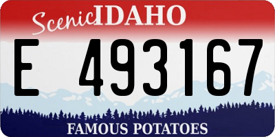 ID license plate E493167