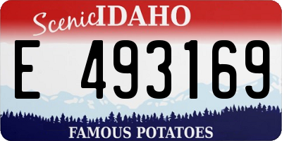ID license plate E493169
