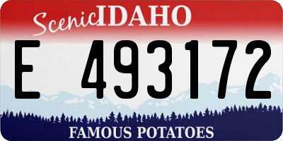 ID license plate E493172
