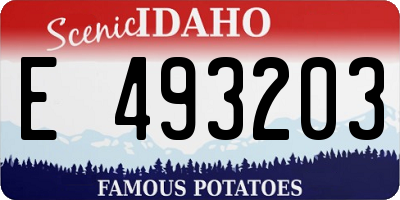 ID license plate E493203