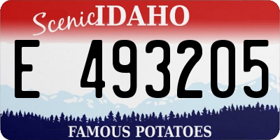 ID license plate E493205
