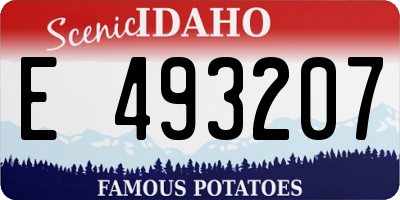 ID license plate E493207