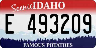 ID license plate E493209
