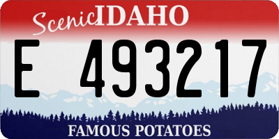 ID license plate E493217
