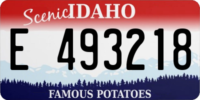 ID license plate E493218