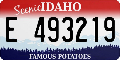 ID license plate E493219