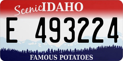 ID license plate E493224