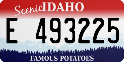 ID license plate E493225