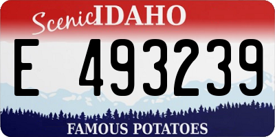 ID license plate E493239
