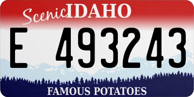 ID license plate E493243