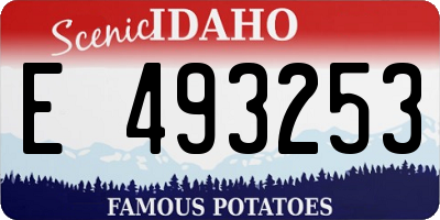 ID license plate E493253