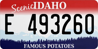 ID license plate E493260