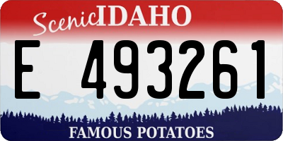 ID license plate E493261