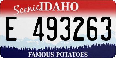 ID license plate E493263