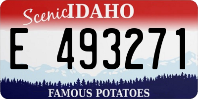 ID license plate E493271