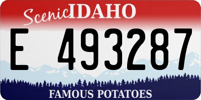 ID license plate E493287