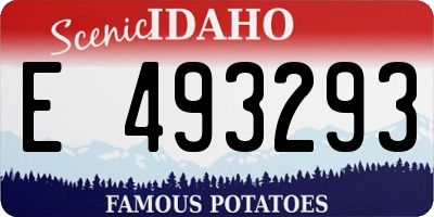 ID license plate E493293